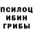Псилоцибиновые грибы GOLDEN TEACHER Qrtz LCZ