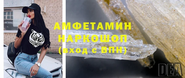 Альфа ПВП Сураж