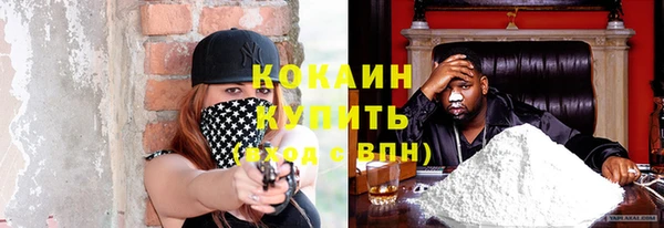 гидропоника Новозыбков