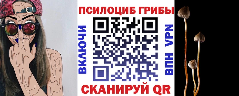 Псилоцибиновые грибы ЛСД  где продают наркотики  Дубовка 