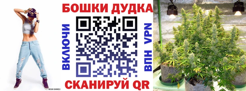 Шишки марихуана планчик  Дубовка 